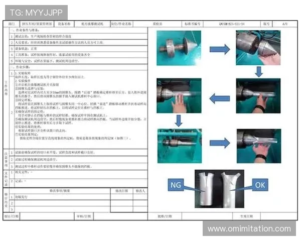 丽波真人测试相关常用技巧与注意事项，确保测试顺利进行